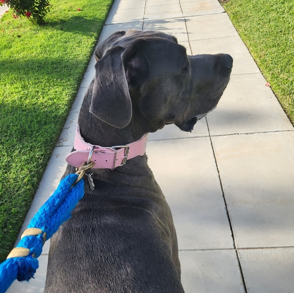 Meet your Posher, Tracy - Picture 4 of 11